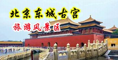 舔少妇下面的豆豆中国北京-东城古宫旅游风景区
